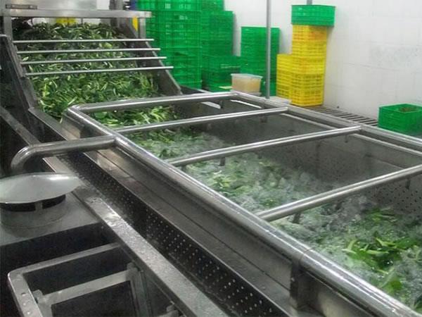 vegetable washing machine