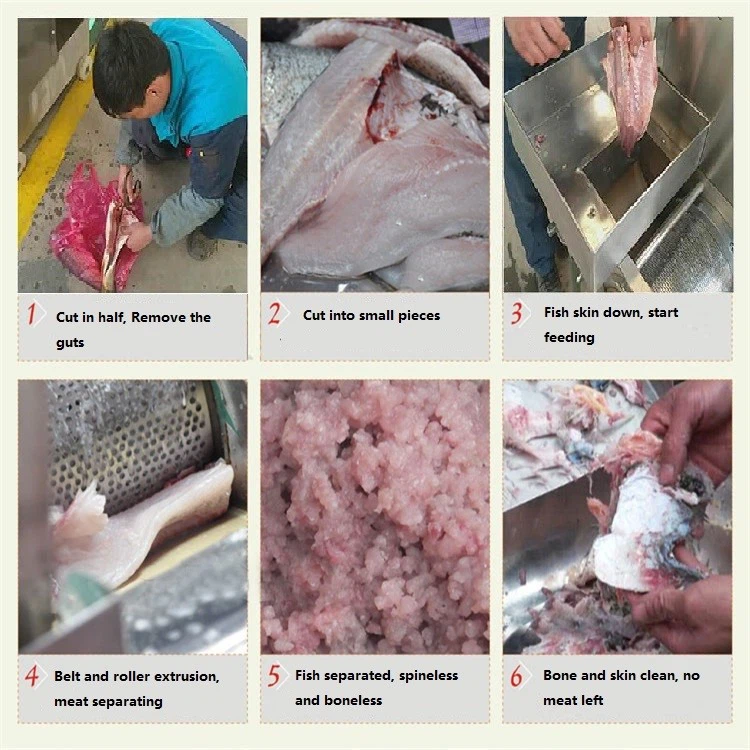 Fish Flesh Separator Fish Flesh Separator